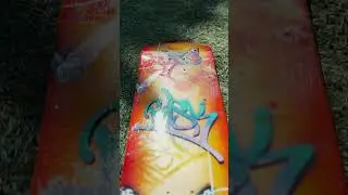 Risk Skateboard Decks x Wynwood Walls: Transform Your Ride with Artistic Creations #shorts #skate