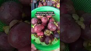 Musim buah manggis  di Segamat akhir Disember 2015 sehingga  awal Jan 2026