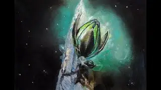 Meta Alloy on a Barnacle