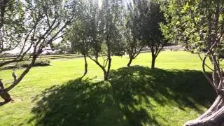 Arrowhead Country Inn and Cabins