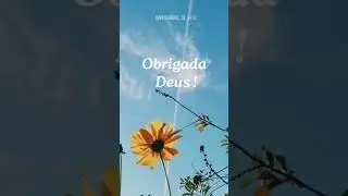 Obrigada Deus #eusousomdomonte #freigilson #somdomonte #mensagensdefe #mensagensdivinas