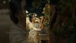 ✨️gold banrasi tissuesaree ✨️ #goldsarees ##goldtrend #weddingsarees #bridegroom #silksaree
