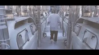 Transforming Regional Agriculture: High-Tech Milling in T&uuml;rkiye