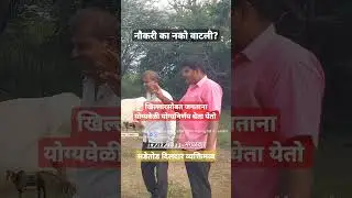 तुकाराम दत्तात्रय शिरसट सडेतोड #बारामती #इंदापूर #पुणे #khillarpremi #cow #खिल्लार #bull #khillar