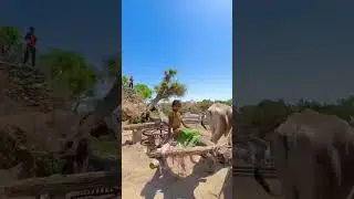 DISCOVER SOUTH PAKISTAN CULTURAL TOUR