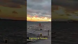 Toronto Evening by the Lake