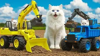 Mama Cat Trims Fur on the Farm and Makes Tiger Hat For Kittens At Home🐾🎩🐯