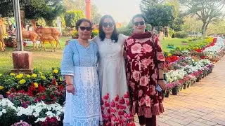 ऐसी सुन्दर जगह वाह #pahadi लाइफ style vlog pushpa bisht wadda 