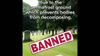 No dying allowed  #shorts #youtubeshorts