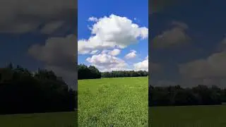 Алтайский край. Алтай. Не орхидеи 😄#relaxing#nature#music#altay