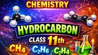 Hydrocarbon | Full chapter in ONE SHOT |Chapter 13 | Class 11th chemistry| All concepts & Tricks 