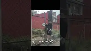 Heartwarming Rescue: Thirsty Dog Finds Hope Through a Simple Act of Kindness 🐶❤️#shorts #shortvideo