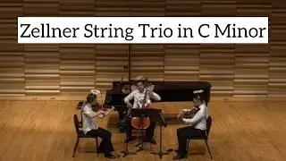 Zellner: String Trio in C Minor Op.36, Movement I. Allegro con brio 