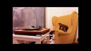 HOAX - more than you know (Official Lyric Video)