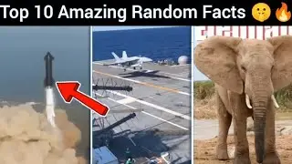 Top 10 Amazing Random Facts 🤫🔥 || Fact Center