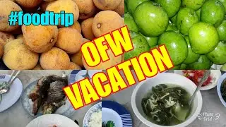 OFW VACATION in Pampanga, Philippines with the Family
