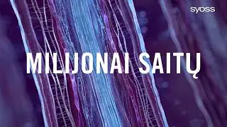 NAUJAISIAIS Syoss Intense Plex serijos Range