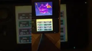 Dragon Quest IX - RHAPTHORNE LVL 99
