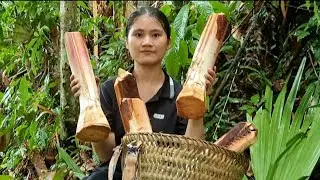 go to cut palm trees and bring them to the market to sell, buy new clothes