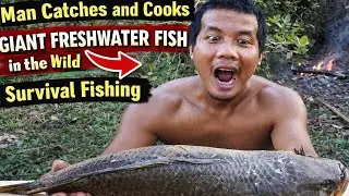 Man Catches and Cooks Giant Freshwater Fish in the Wild  Survival Fishing