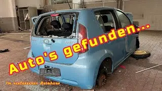 Autos gefunden... | Im verlassenen Autohaus | Lost Place