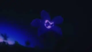 Lil bibby- Gotta have some more ft. tink (slowed + reverb)
