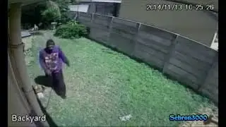 Burglar caught on camera nearly murdered by tremendous protect pooch Come up short