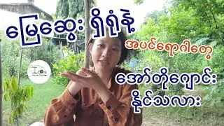 The Compost(1)//the compost and plant disease/မြေဆွေးကအပင်ရောဂါတွေမဖြစ်အောင်ကာကွယ်ပေးနိုင်သလား