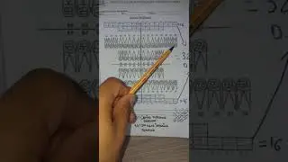 Odontograma parte 1