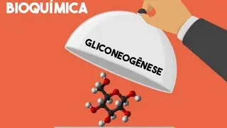 Bioquímica: Gliconeogênese