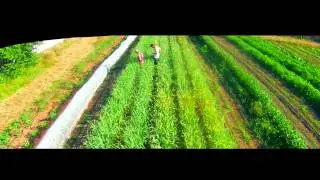 Aerial Fields: Zaklan Heritage Farm