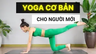 Yoga cho người mới bắt đầu Dễ Tập tại nh&agrave; | Ho&agrave;ng Uy&ecirc;n Yoga