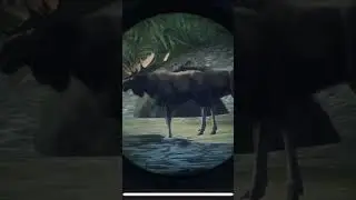 Call of the Wild - 5 medium troll Moose