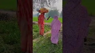 Sunil yadav gopalganj wala #entertainment video #trending video #viral video rock star video #