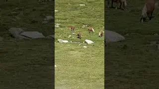 Andorra &eacute;t&eacute; 2025