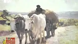 Neculai Gavriliu - Arza-te-ar focul badita