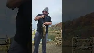 Crazy double up! #fishing #bassfishing #gamakatsu #monriver #uglystik #channelcatfish 