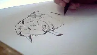 Okami SpeedDraw - Kasugami
