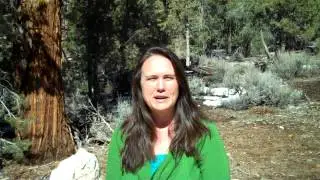 Big Bear Yoga Festival