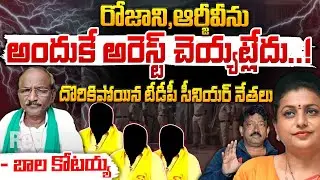 Rice Mafia In Kakinada Port | AP News | Red Tv Digital