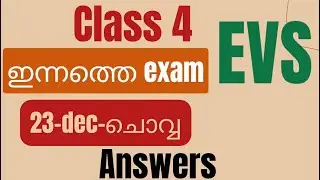 Class 4 Evs today&rsquo;s exam question paper and answers |Christmas exam |schoollessons