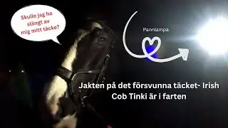 HON STOD UTAN VINTERT&Auml;CKE?! 😱 | Jakten p&aring; det f&ouml;rsvunna t&auml;cket &ndash; Irish Cob Tinki