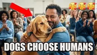 He Picked Me! 😭 When Dogs Choose Their Owners 🐶