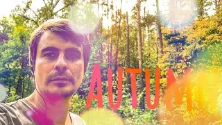 Fall / Autumn