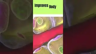 MetaboFix Reviews: The Ultimate Solution for Rapid Weight Loss