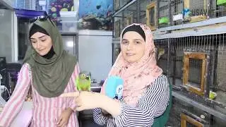 1000 manata tutuquşu, 2500 manata it... Bakının məşhur “İt bazarı”ndan reportaj