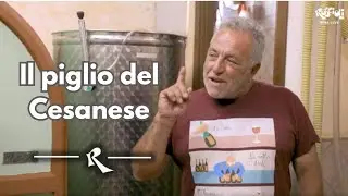 La Visciola e Giacobbe - Il piglio del Cesanese