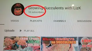 WHY SHOW your PUBLIC SUBSCRIPTION to my channel | Who is 1000nth SUBSCRIBER?