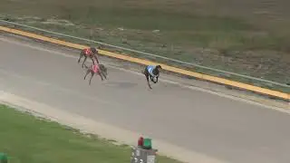 Murray-Bridge-01022026-Race-11