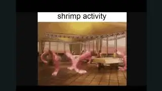 shrimp activity goes with every music